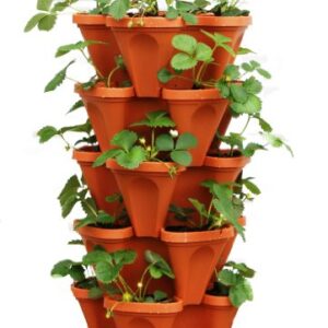 Mr. Stacky 5-Tier Strawberry Planter Pot, 5 P...